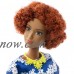 Barbie Fashionista Daisy Love   566729980